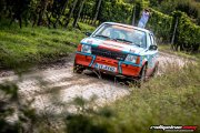 15.-adac-msc-rallye-alzey-2017-rallyelive.com-8647.jpg